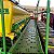 PLANTADEIRA JOHN DEERE 1113 - Ano 2015 - Imagem 4