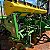 PLANTADEIRA JOHN DEERE 1111 - Ano 2011 - Imagem 3