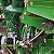 COLHEITADEIRA JOHN DEERE S430 - Ano 2021 - Imagem 5