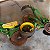 PLANTADEIRA JOHN DEERE 1113 - Ano 2015 - Imagem 8