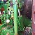 TRATOR JOHN DEERE 7230J - Ano 2022 - Imagem 7
