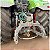 TRATOR FENDT VARIO 942 - Ano 2023 - Imagem 17