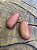 Fava de Ogum - Imagem 2