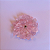 Incensário de Cristal Quartzo Rosa – Raio Rosa | Mestra Rowena e Lady Vênus - Imagem 5