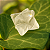 Merkabah Quartzo Cristal – Geometria Sagrada da Luz - Imagem 4
