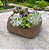Cachepo Vaso de Planta Decorativo Raso Berçario de Planta 18cm - Imagem 3