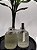 HOME SPRAY BAMBOO - Imagem 1