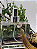 HOME SPRAY WOODS - Imagem 1