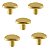 Kit 5 Puxador Beetle Zen Dourado (fosco) Zp5403.955 Ponto - Imagem 1