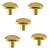 Kit 5 Puxador Beetle Zen Dourado (fosco) Zp5403.955 Ponto - Imagem 1