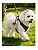 Garrafa Bebedouro Portátil Cachorro Pet 285ml Aço Inox Rosa - Imagem 4