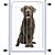 GRADE PROTEÇÃO 80CM DOOR DOG 80 PETS BRANCO 519391 - Imagem 7