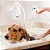 DUCHA FAME FLEX BRANCO 110V 4000W 1216661 458260 - Imagem 5