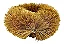 ESCOVA DE COCO KILAR K0103 692085 - Imagem 2