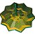 SENSORIAL ESTRELA 16CM VERDE AMARELO LIENAMIYA IMPRESSO EM 3D 903922 - Imagem 1