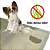 OFERTA ESPECIAL 3CX - Tapete Higiênico para cachorro 48x60 cm - Com 15 unidades - Imagem 3
