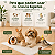 Tapete Higiênico para Coelhos - Medida 48x70 cm - Caixa com 20 unidades - Imagem 10