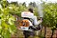 PULVERIZADOR COSTAL STIHL SR 450 A GASOLINA - Imagem 2