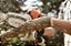 PODADOR DE GALHOS STIHL GTA 26 SET com Bateria e Carregador 127v ou 220v - Imagem 3