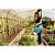 REGADOR PARA JARDIM TRAMONTINA EM PLÁSTICO AZUL 7 L - 78600072 - Imagem 3