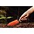 PAZINHA ESTREITA METÁLICA PARA JARDINAGEM TRAMONTINA COM CABO DE MADEIRA - 77908001 - Imagem 4