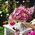 Buquê 32 Rosas - Imagem 1