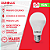 Lâmpada Superled Alta Potência 15W BIV 6500K. - Imagem 5