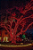 Pisca de Natal 100 Leds Vermelho 8 Funções 10 Metros fio transparente 220V. - Imagem 4
