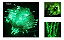 Pisca de Natal 100 Leds Verde 8 Funções 10 Metros fio transparente 220V. - Imagem 3