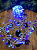 Pisca Festão 400 LEDS bolinha branco e azul bivolt 3 metros IP65 com memória. - Imagem 4