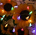 Cordão Pisca 20 Leds Em Formato De Árvore 8 Funções Bivolt. - Imagem 1