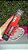 Gloss Lip Volumoso Incolor Cor 05 Max Love - Imagem 1