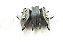 Pastilha Freio Dianteira Original Ford Ecosport 2004/2012 - Imagem 3