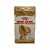 Royal Canin Yorkshire Terrier Adult 1kg | Ração Super Premium para Yorkshire - Imagem 1