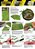 FERN 1/32 and 1/35 - Imagem 2