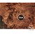 Neoprene Mat Total Recall 44x60" - Imagem 5