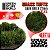 Grass TUFTS XXL - 22mm self-adhesive - DARK GREEN - Imagem 6