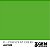 FLUORESCENT GREEN - STANDARD - Imagem 2