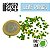 Miniature Leaf Punch LIGHT BLUE - Imagem 3