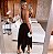 Conjunto de Saia Ponta e Cropped Eloa - Imagem 2