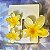 Kit com 3 Piranhas de cabelo flor - Imagem 7
