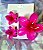Kit com 3 Piranhas de cabelo flor - Imagem 5