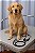 Estetoscópio Veterinário Duplo - Tubo 85cm - Imagem 7