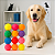 Bola fisio cravo brinquedo pet colorida kit 12 Pçs - Imagem 2
