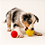 Bola fisio cravo brinquedo pet colorida kit 12 Pçs - Imagem 6