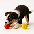 Bola fisio cravo brinquedo pet colorida kit 12 Pçs - Imagem 5
