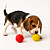 Bola fisio cravo brinquedo pet colorida kit 12 Pçs - Imagem 3