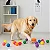 Bola fisio cravo brinquedo pet colorida kit 12 Pçs - Imagem 4