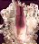 Colônia Luna Confiante Feminino 75ml Natura - Imagem 2
