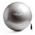 BOLA DE GINÁSTICA GYM BALL 65CM COM BOMBA - VOLLO - Imagem 2